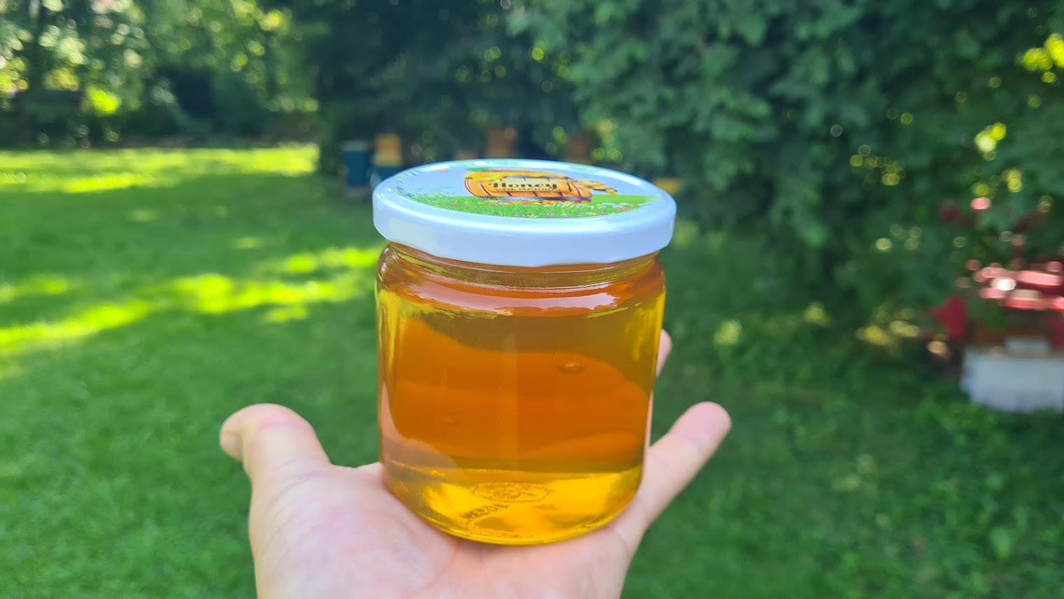 Imker inmitten von Bienenstöcken und Wabenstruktur im bayerischen Bienenstand