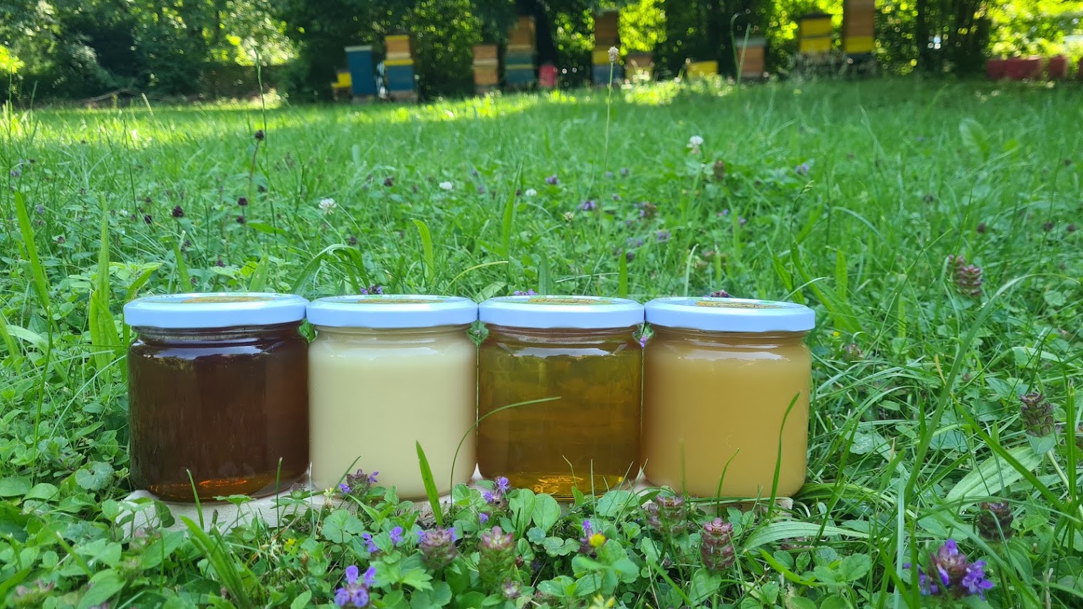 Handwerklicher Rohhonig im Glas und frische Bienenwaben der Imkerei Munich Bee München