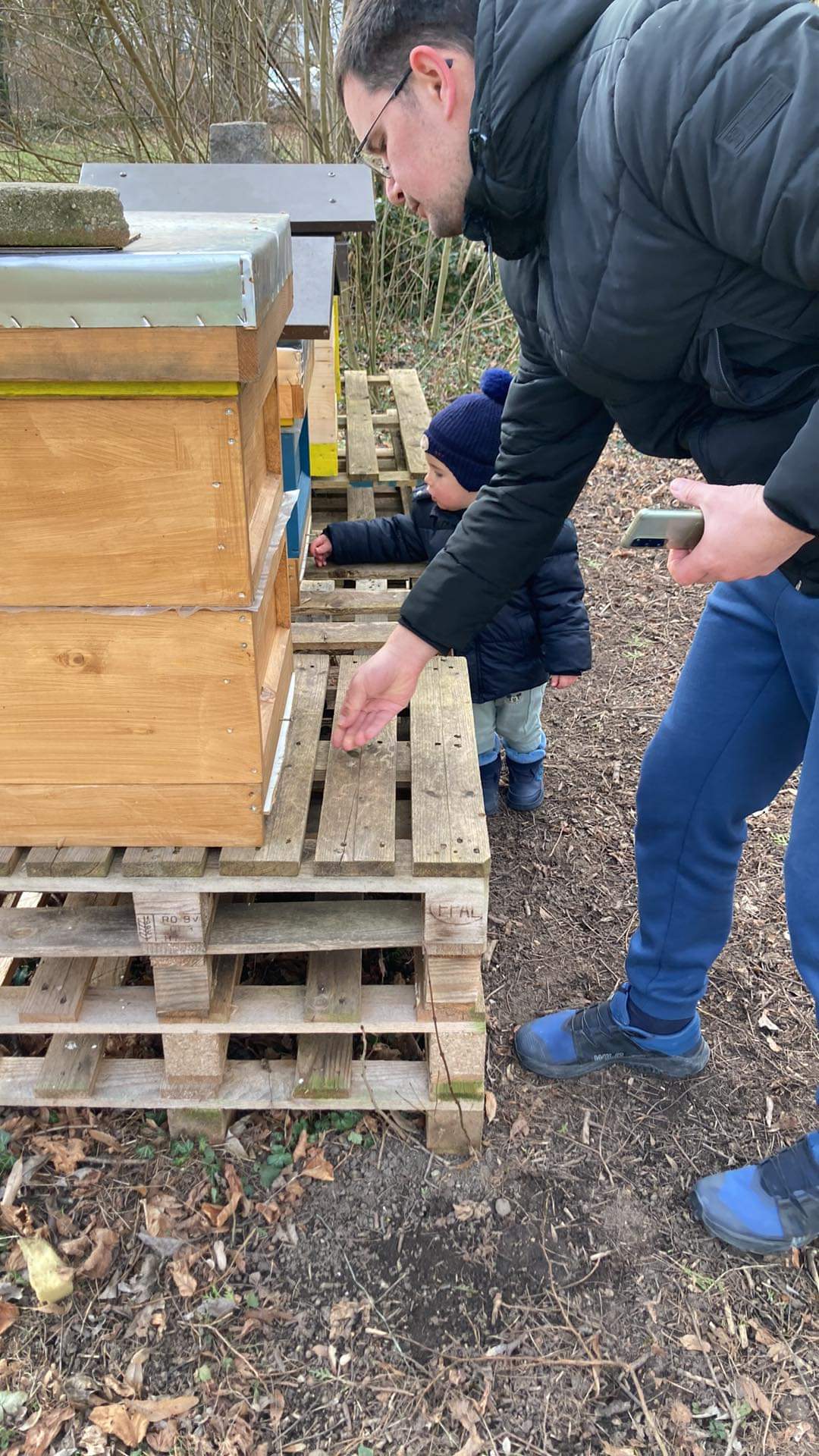 Father and toddler looking together into an open beehive